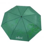 Irland Regenschirm