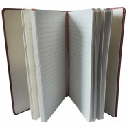 Notizbuch klein Harfe, grün